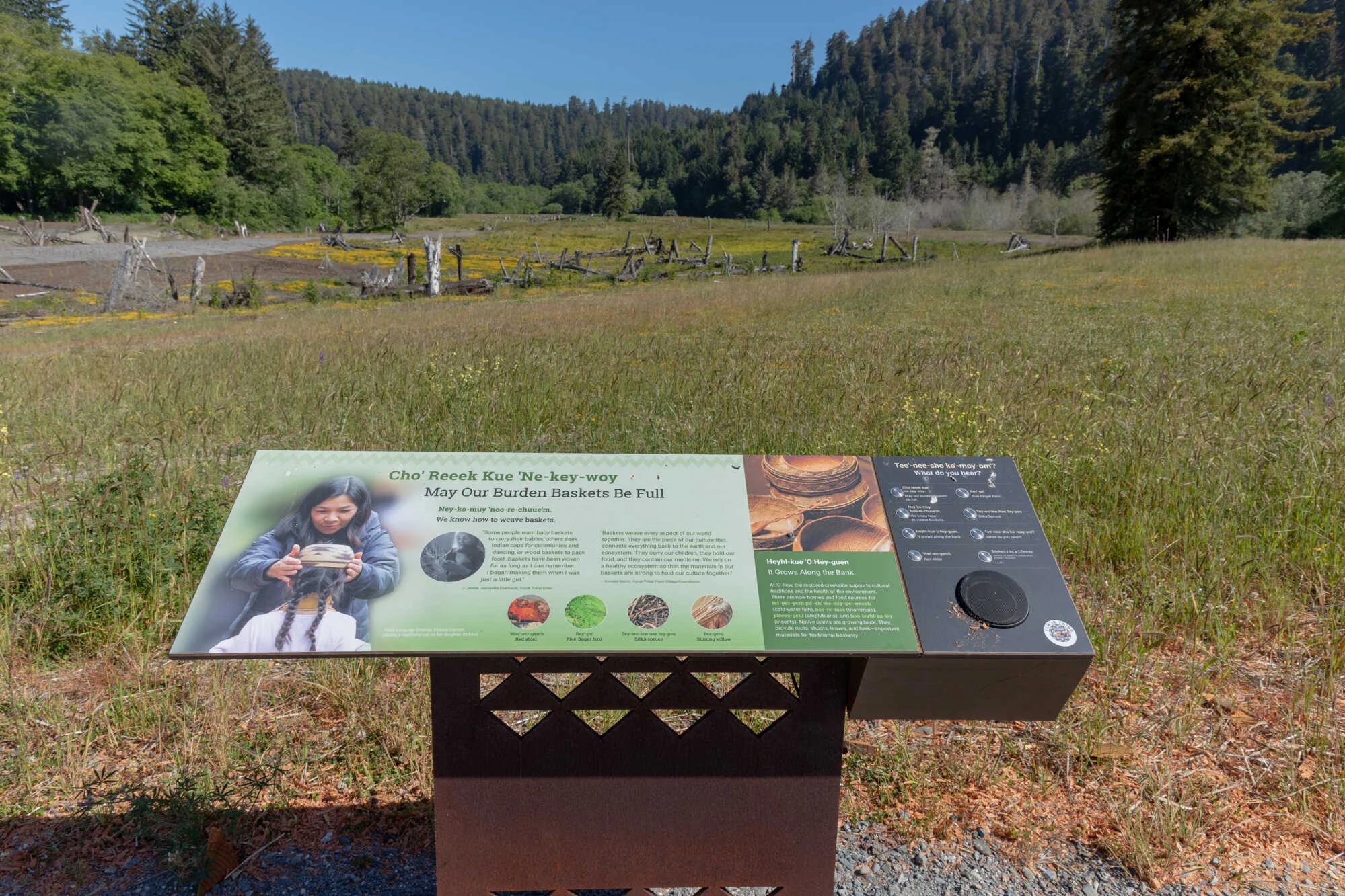 Interpretive sign with meadow and forest border behind.