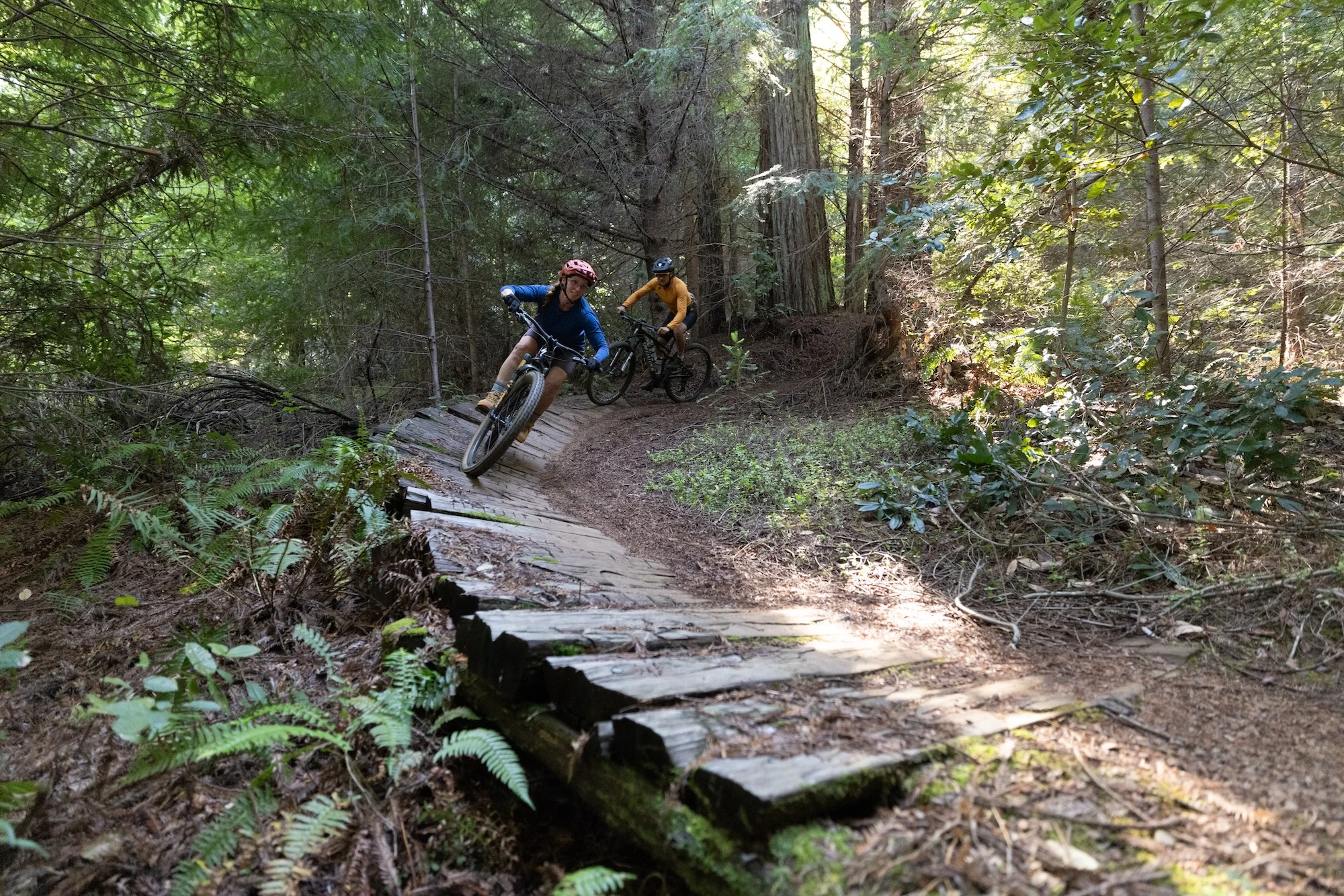 two bikers come down a slightly curved path in a forest
