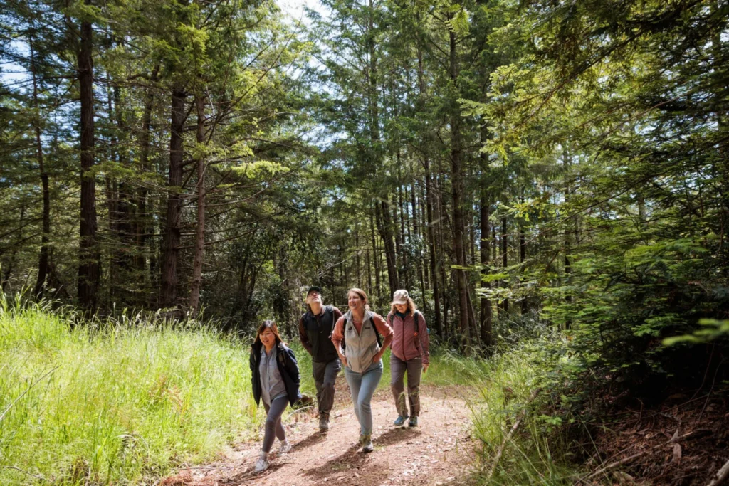 a group of hikers walks in a brightly lit landscape