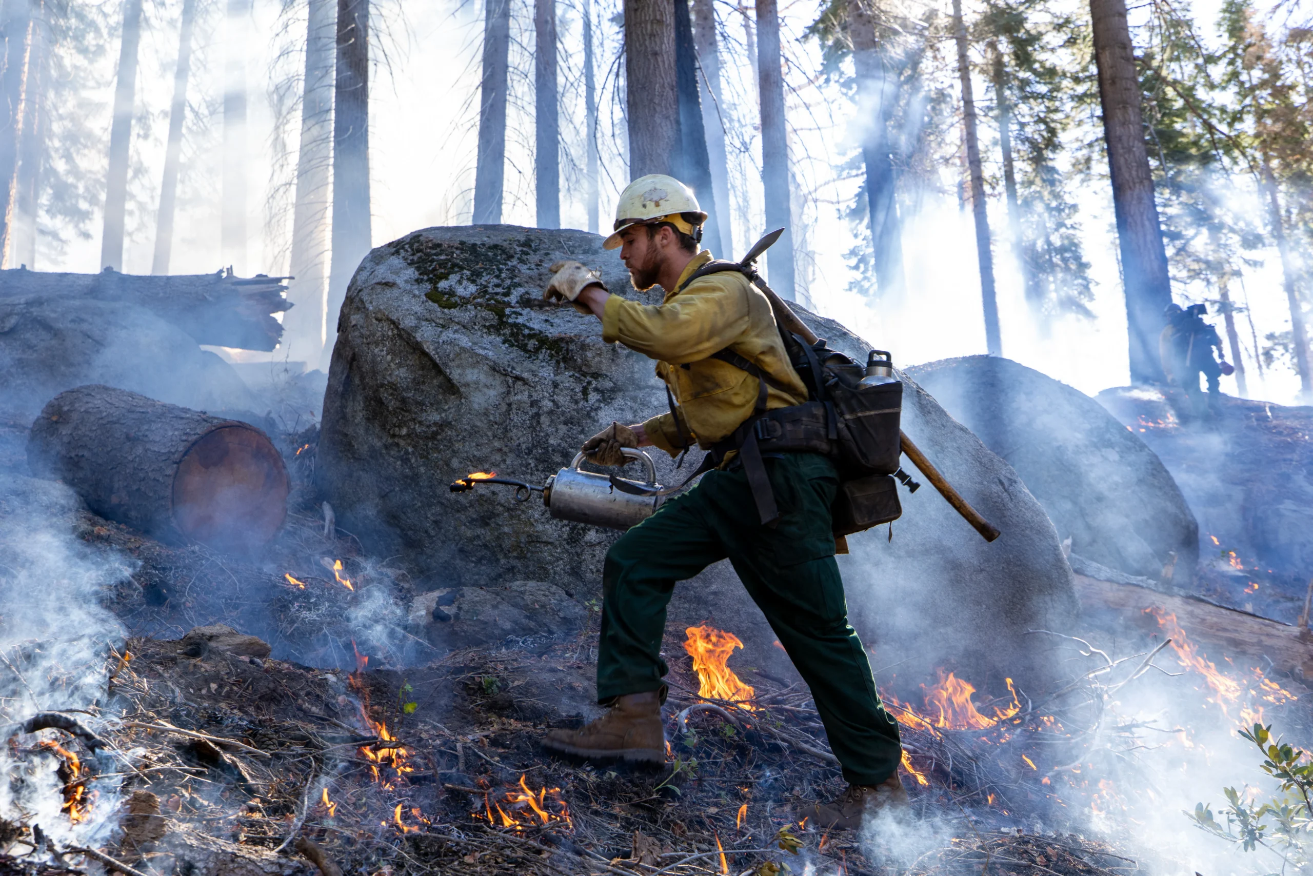 Controlled burn at among the Giant Sequoias at Alder Creek