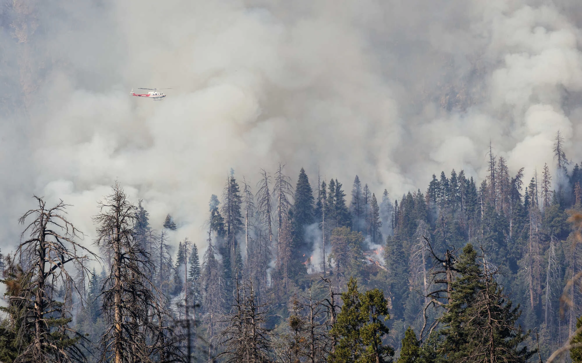 Helicopter flying over wildfire.