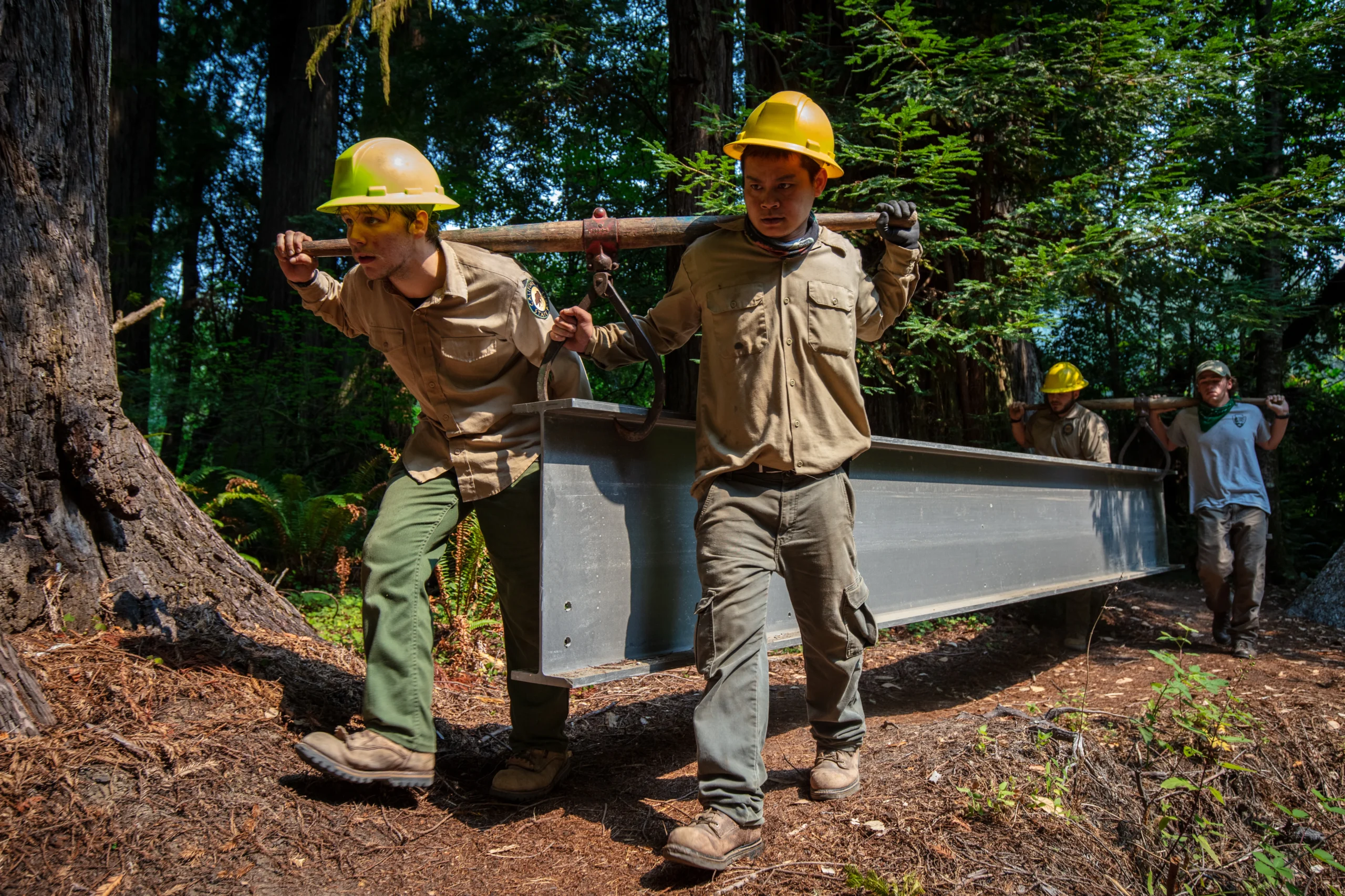 Trail crew working at the Grove of Titans.
