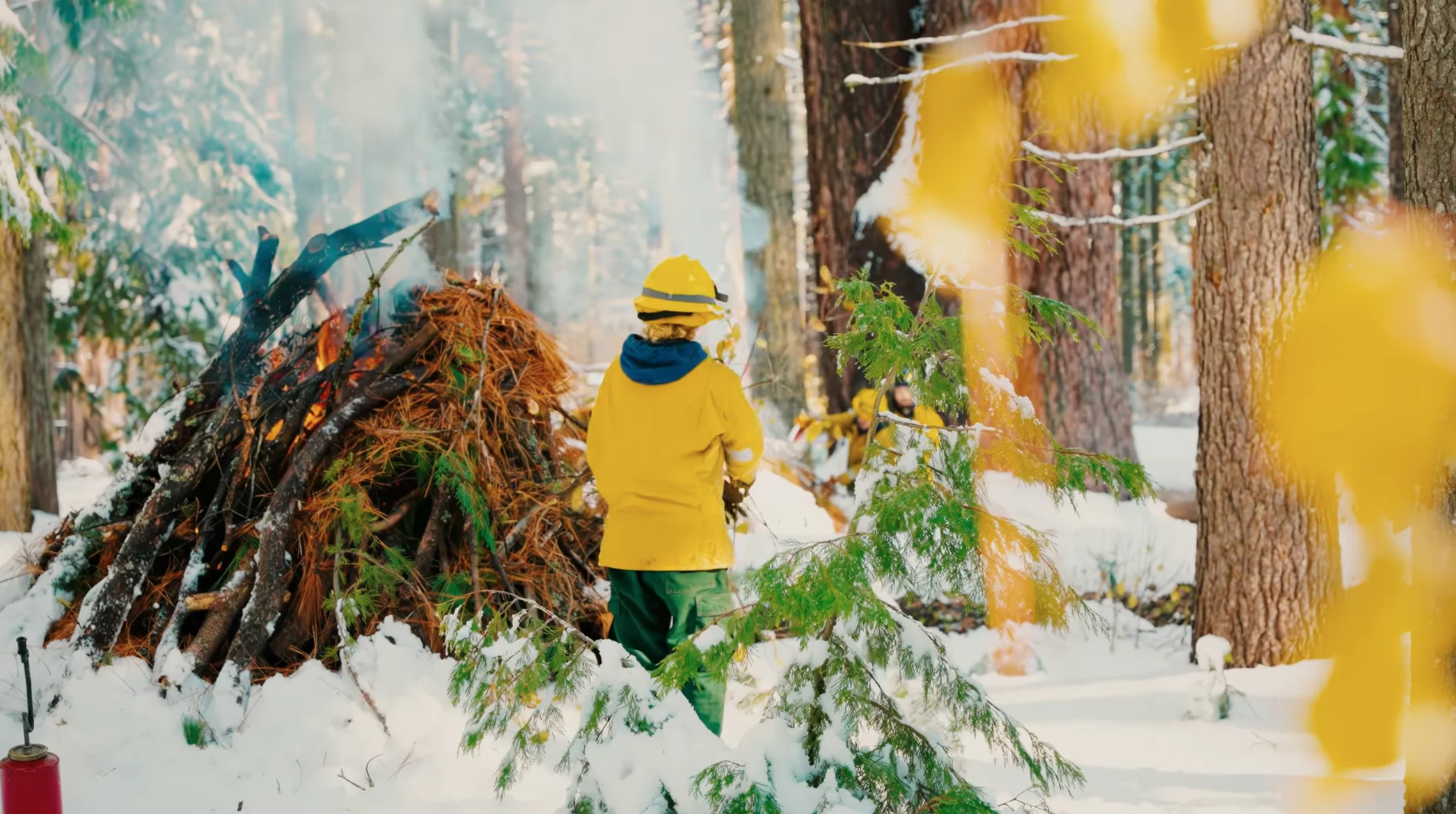 Controlled burn at Alder Creek.