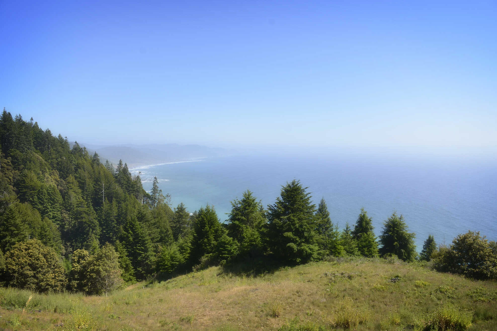 Coastal landscape with forested hills rising from the beach.