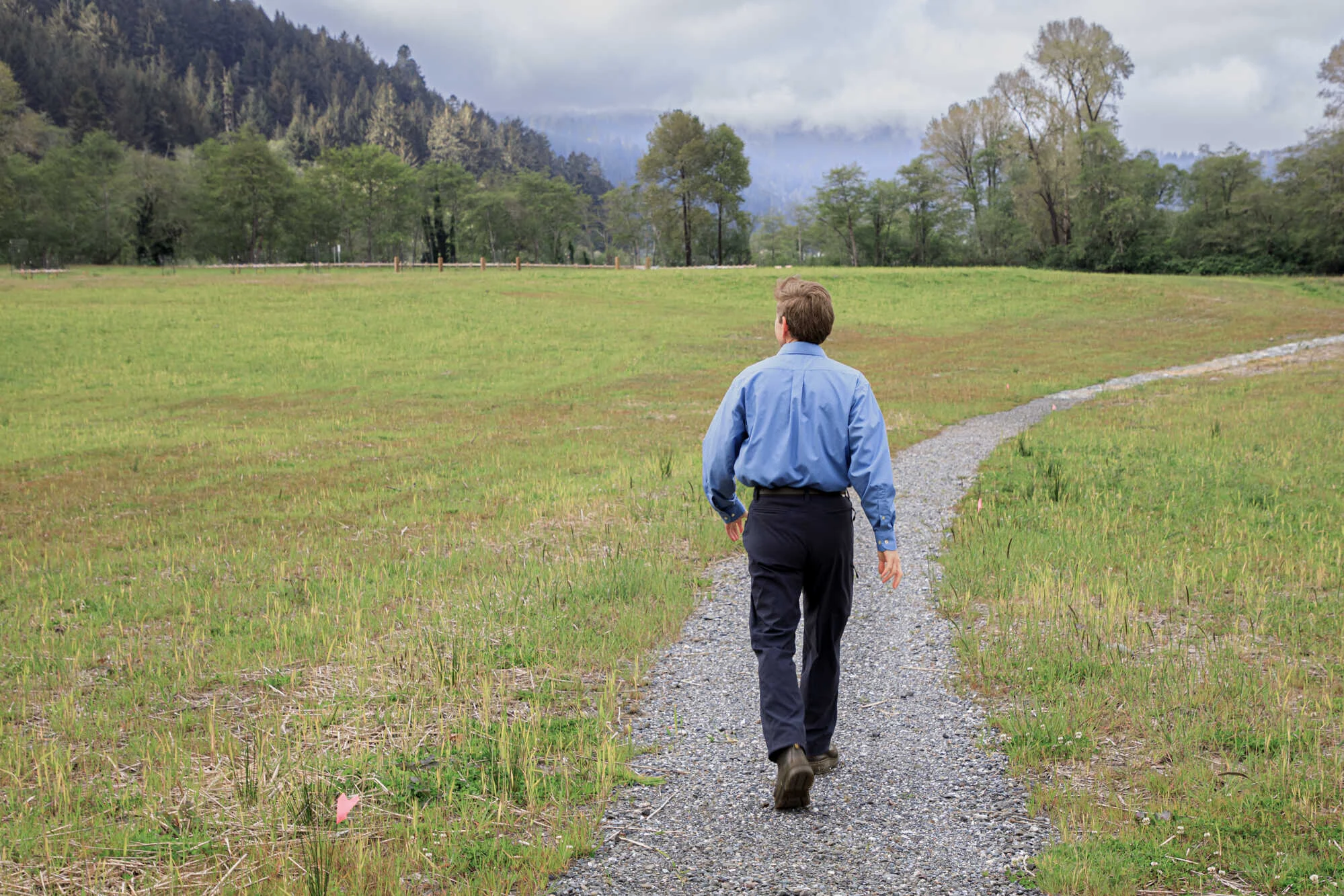 a man strides away from camera down a path through a green meadow