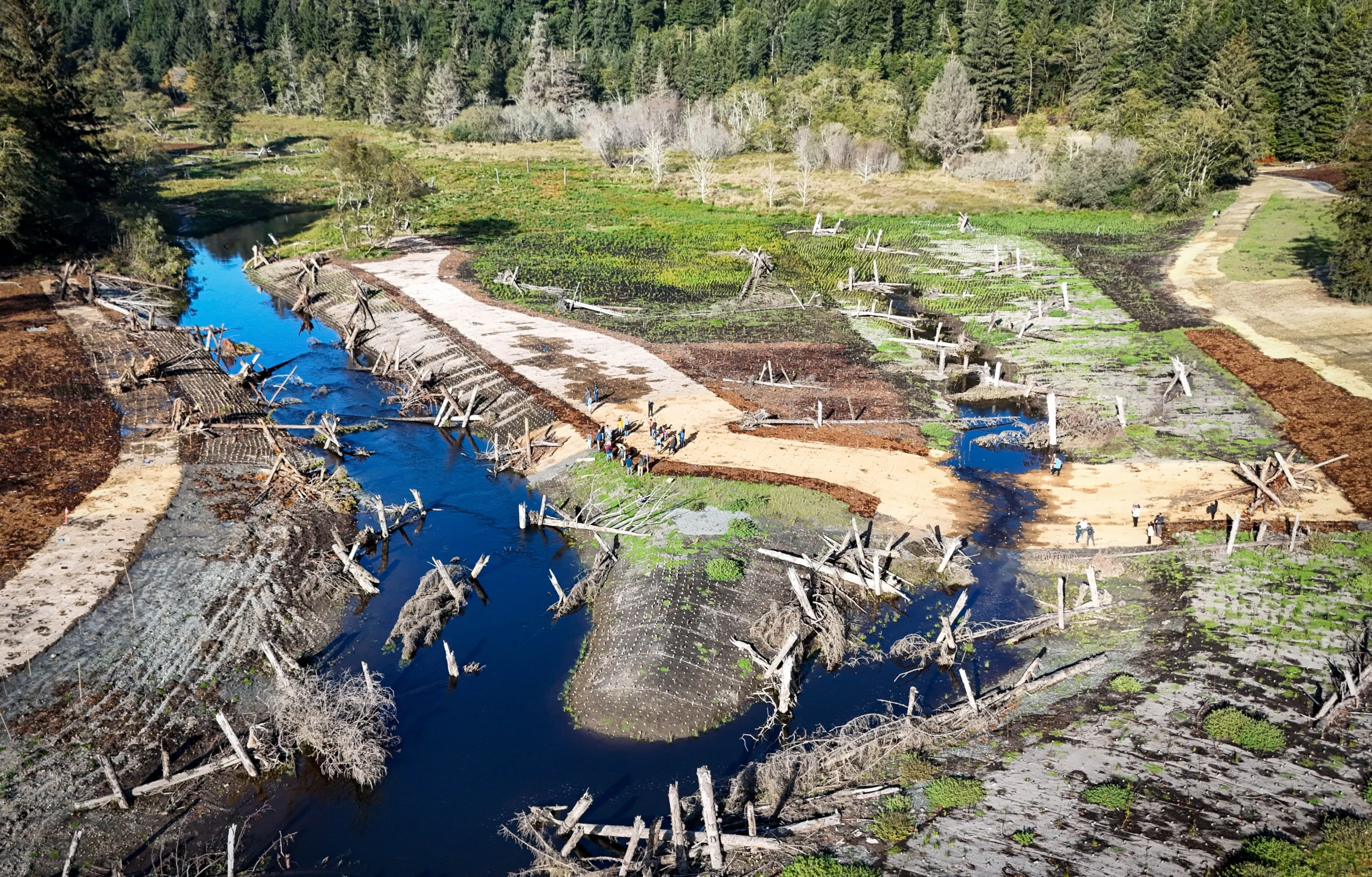 overhead landscape shot of stream with half submerged logs and people