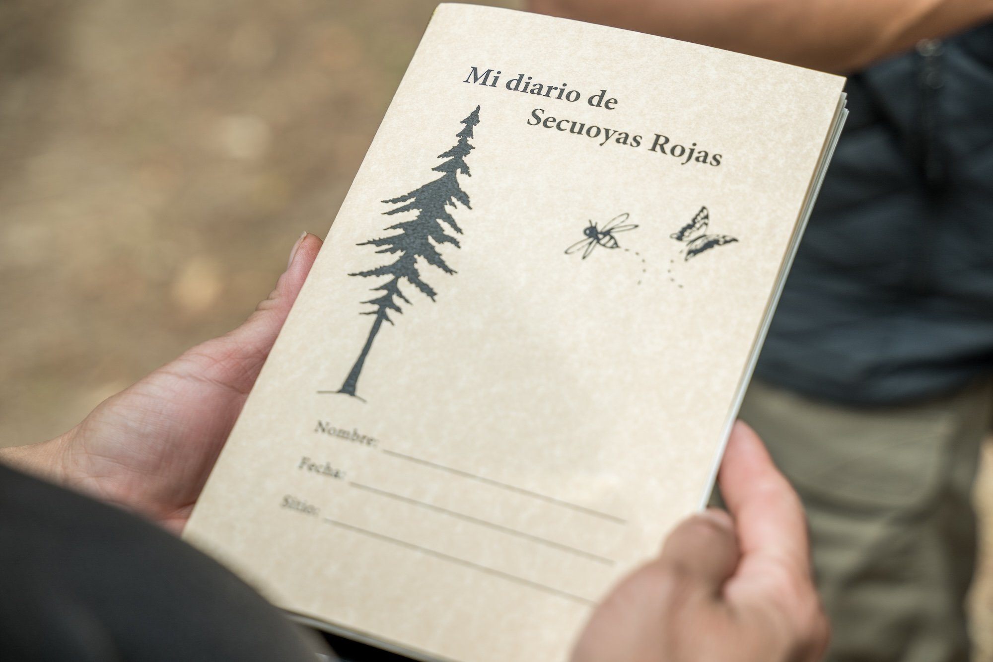 A redwoods pamphlet printed in Spanish.